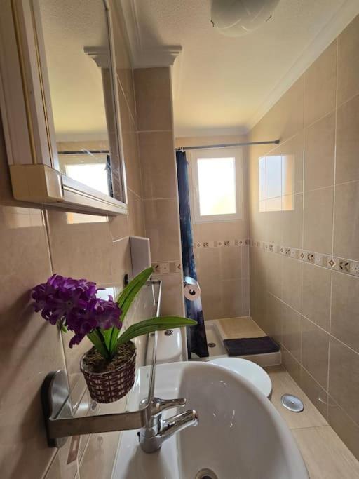 Apartament Carina Mar de Cristal Kültér fotó